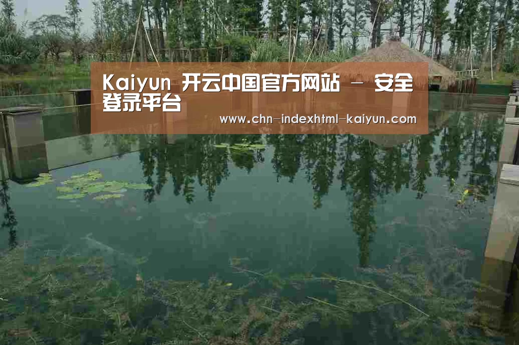 案例展示二(图1)