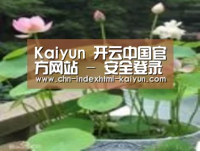 产品名称一