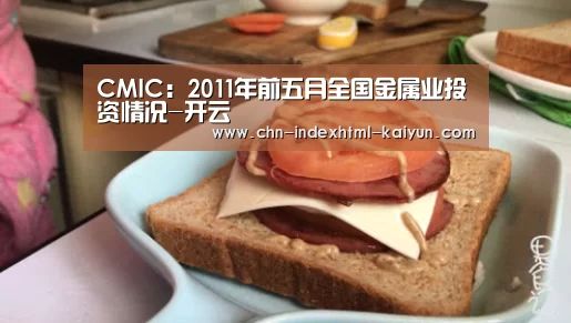 CMIC:2011年前五月全国金属业投资情况-开云(图2) CMIC:2011年前五月全国金属业投资情况-开云(图2)