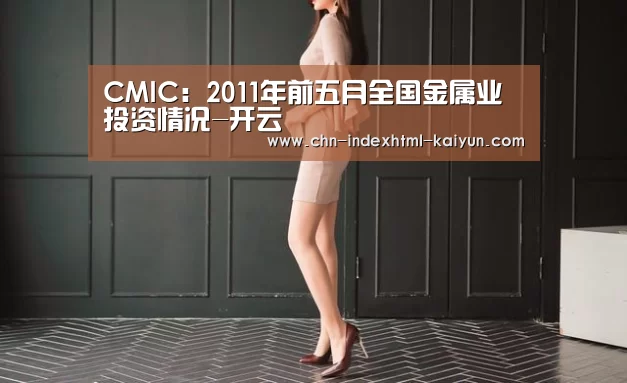 CMIC:2011年前五月全国金属业投资情况-开云(图4) 开云