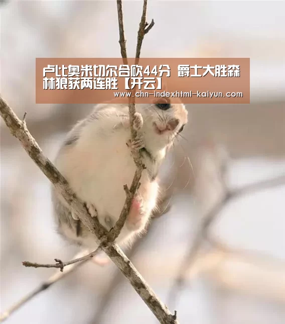 卢比奥米切尔合砍44分 爵士大胜森林狼获两连胜【开云】(图3) 卢比奥米切尔合砍44分 爵士大胜森林狼获两连胜【开云】(图3)