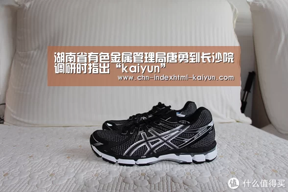 湖南省有色金属管理局唐勇到长沙院调研时指出“kaiyun”(图2)