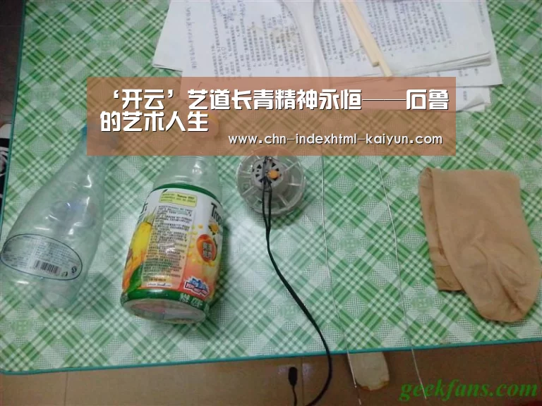 ‘开云’艺道长青精神永恒——石鲁的艺术人生(图4)