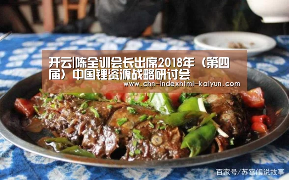 开云|陈全训会长出席2018年（第四届）中国锂资源战略研讨会(图1)