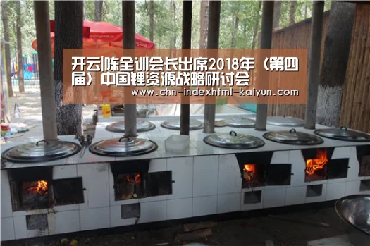 开云|陈全训会长出席2018年（第四届）中国锂资源战略研讨会(图3)