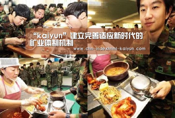 “kaiyun”建立完善适应新时代的矿业体制机制(图3) 开云