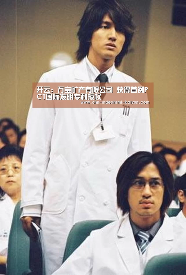 开云:万宝矿产有限公司 获得首例PCT国际发明专利授权(图4) 开云:万宝矿产有限公司 获得首例PCT国际发明专利授权(图4)