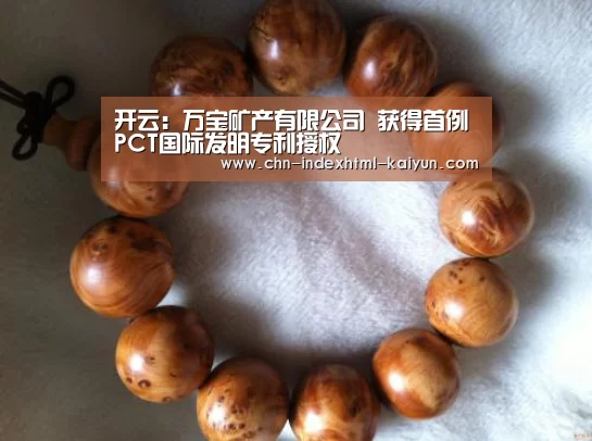 开云:万宝矿产有限公司 获得首例PCT国际发明专利授权(图2) 开云:万宝矿产有限公司 获得首例PCT国际发明专利授权(图2)