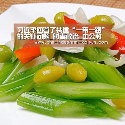 习近平回答了共建“一带一路”的关键问题_时事政治_中公教育网【kaiyun】(图1) 习近平回答了共建“一带一路”的关键问题_时事政治_中公教育网【kaiyun】(图1)